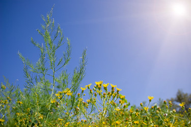 Similar image 277222