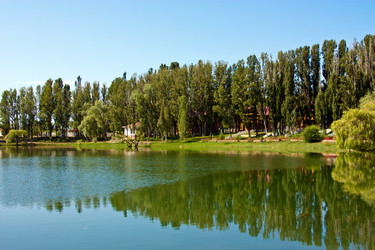 Similar image 277230