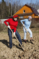 Similar image 277274