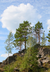 Similar image 277288