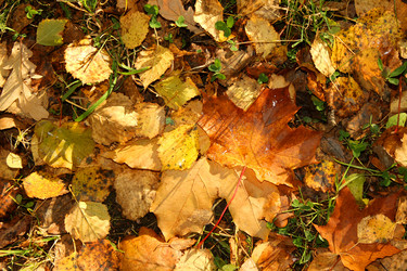 Similar image 277302