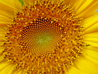 Similar image 277307