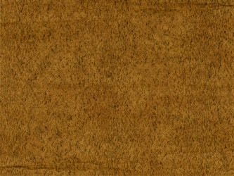 Similar image 277334