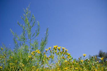 Similar image 277340