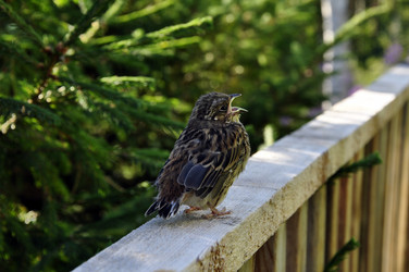 Similar image 277343