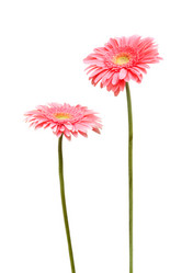 Similar image 277350