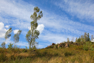 Similar image 277393