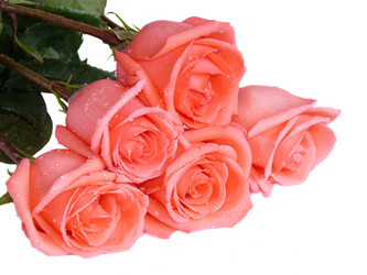 Similar image 277414