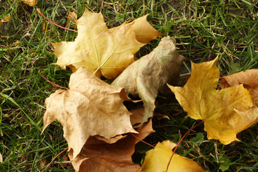 Similar image 277415