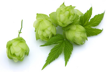 Similar image 277442