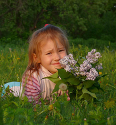 Similar image 277485