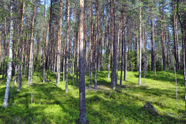 Similar image 277499