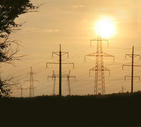 Similar image 277502