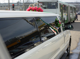 Similar image 277519