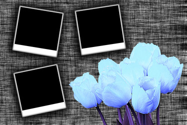 Similar image 277536