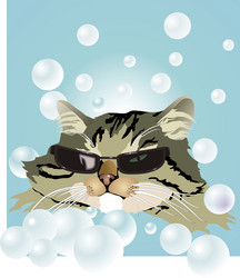 Similar image 277542