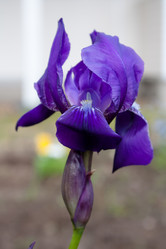 Similar image 277550