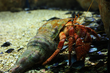 Similar image 277556