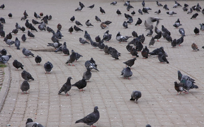 Similar image 277567