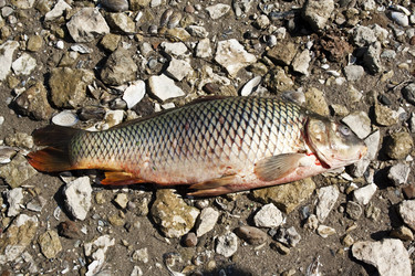 Similar image 277569