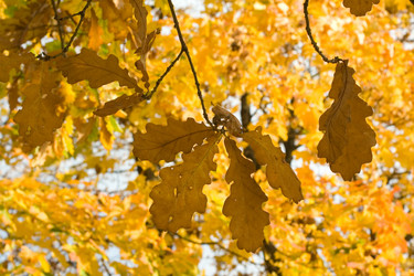 Similar image 277576