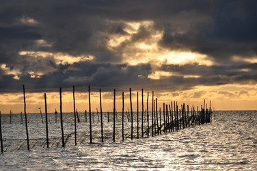 Similar image 277588