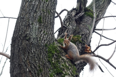 Similar image 277601