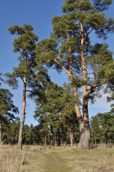 Similar image 277613