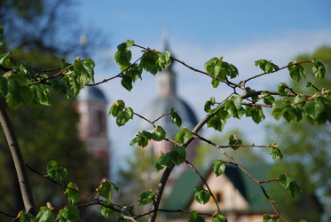 Similar image 277658