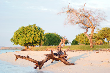 Similar image 277664