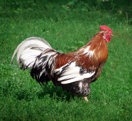 Similar image 277677