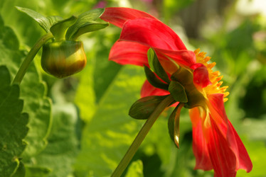 Similar image 277737