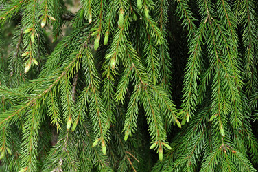 Similar image 277740