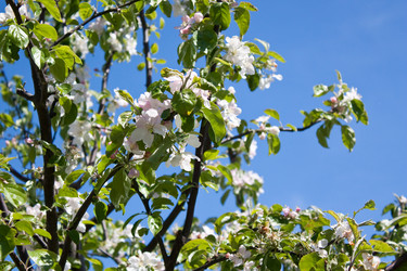 Similar image 277765