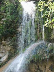 Similar image 277771