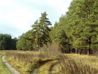 Similar image 277814