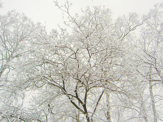 Similar image 277829