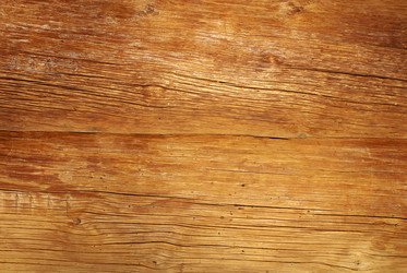 Similar image 277838