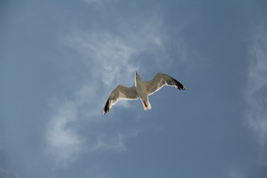 Similar image 277855