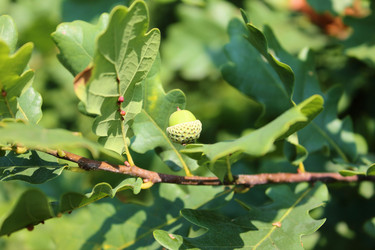 Similar image 277873