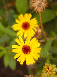 Similar image 278041