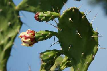 Similar image 278044