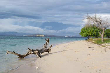 Similar image 278047