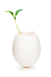 Similar image 278074