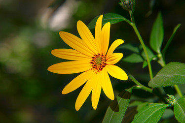 Similar image 278125