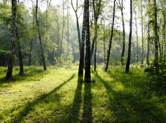 Similar image 278129