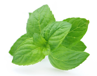 Similar image 278241