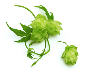 Similar image 278242