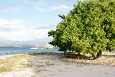 Similar image 278247