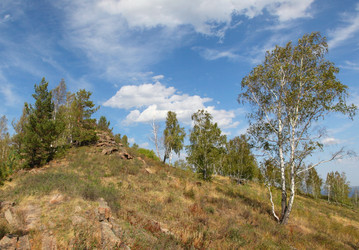 Similar image 278250